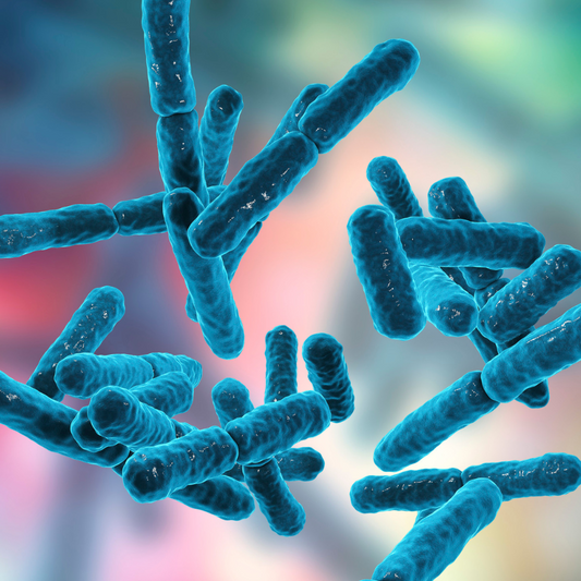 Probiotics help aging skin rejuvenate